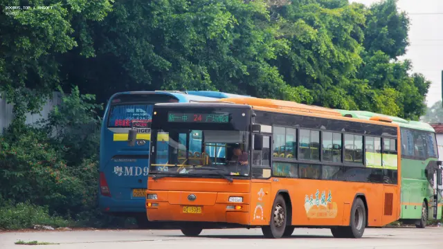 800BUS