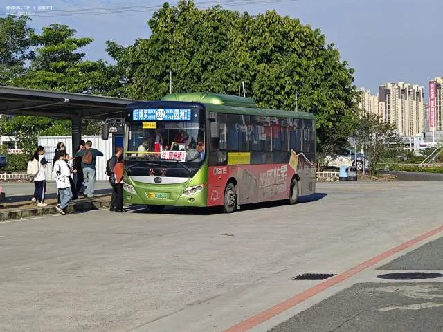 800BUS