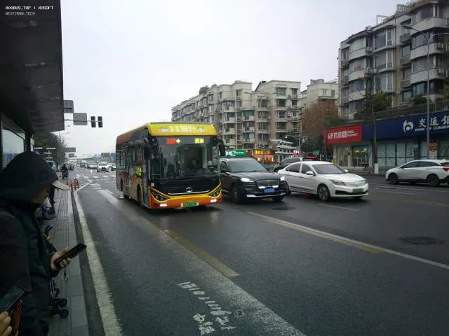 800BUS
