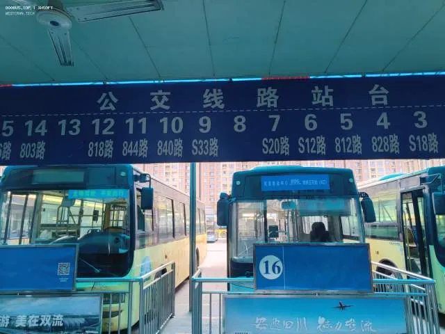 我啷个晓得