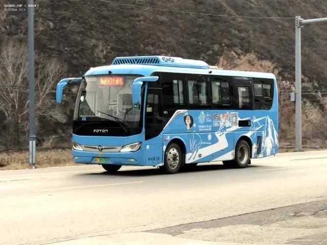 800BUS
