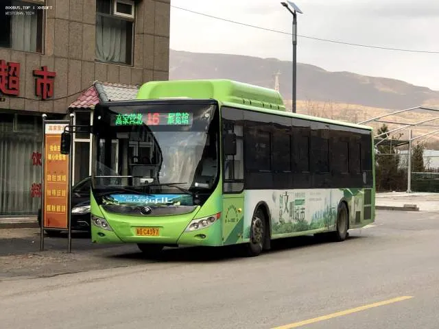 800BUS