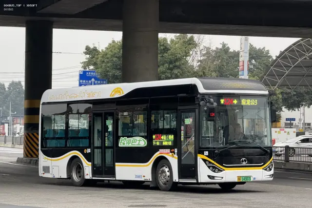 800BUS