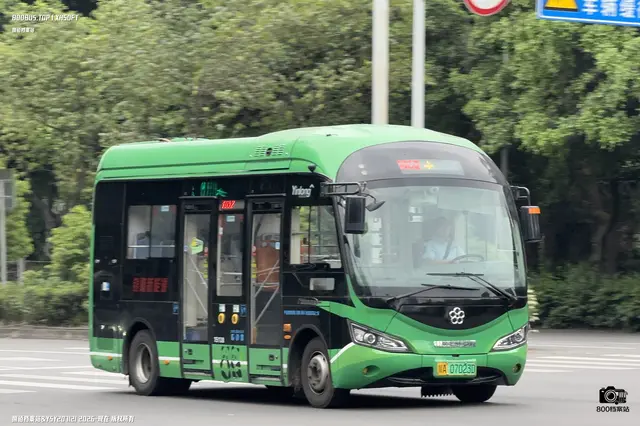 800BUS