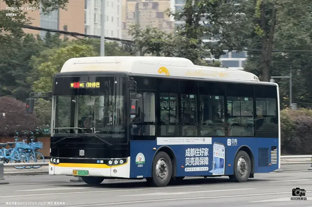 800BUS