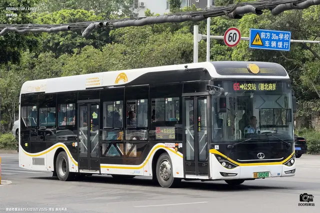 800BUS