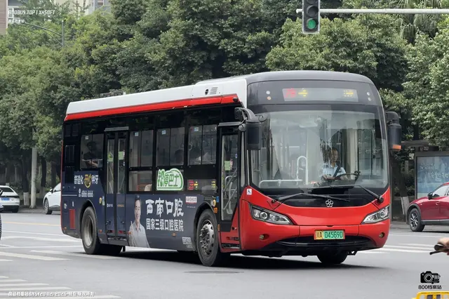 800BUS