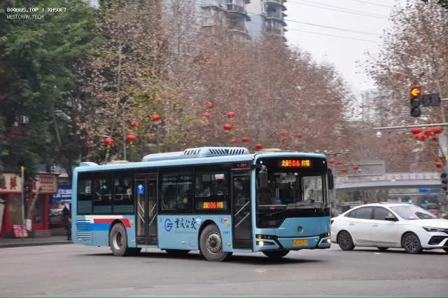 渝D33711