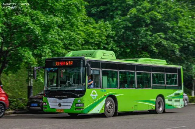 渝BT6972
