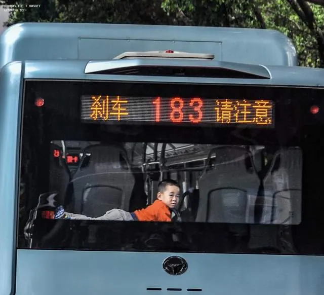 800BUS