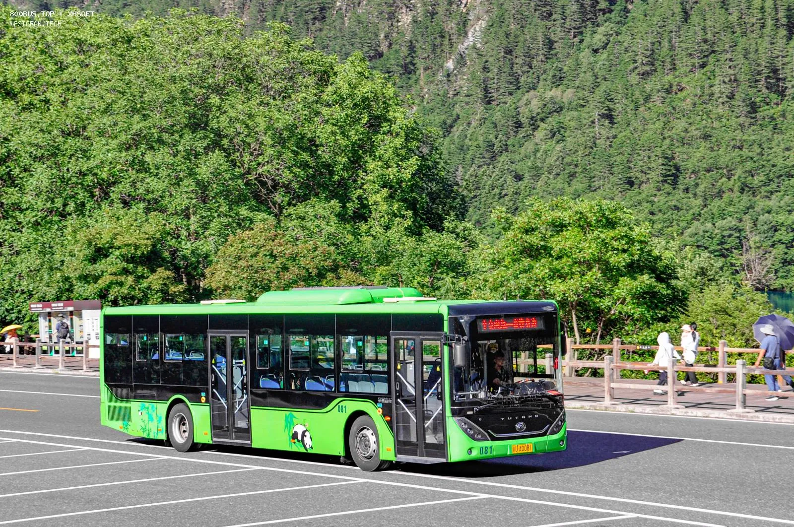 Bus Archive