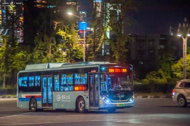 800BUS