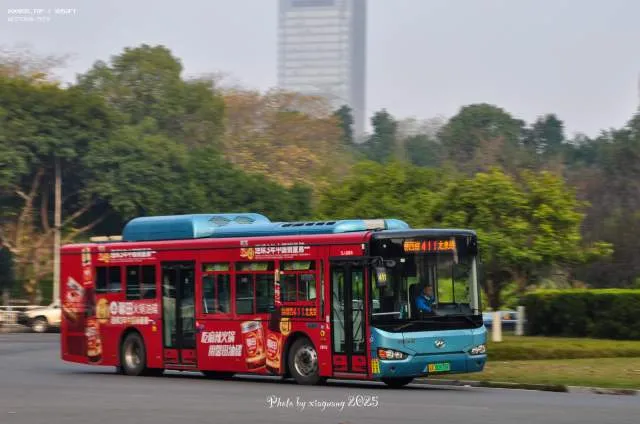 800BUS