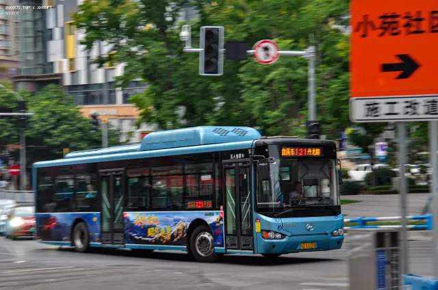 渝D 53230
