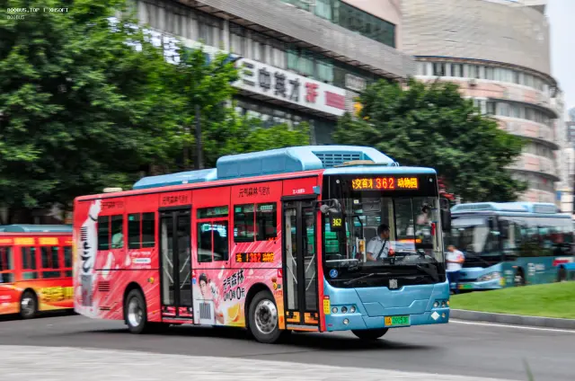 渝A09253F