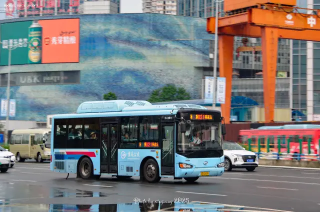 渝D 82695