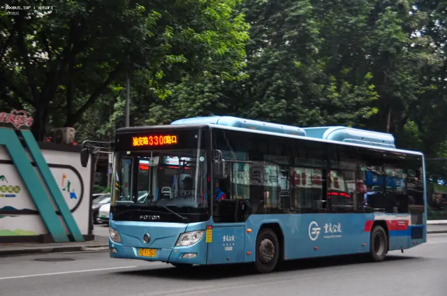 800BUS