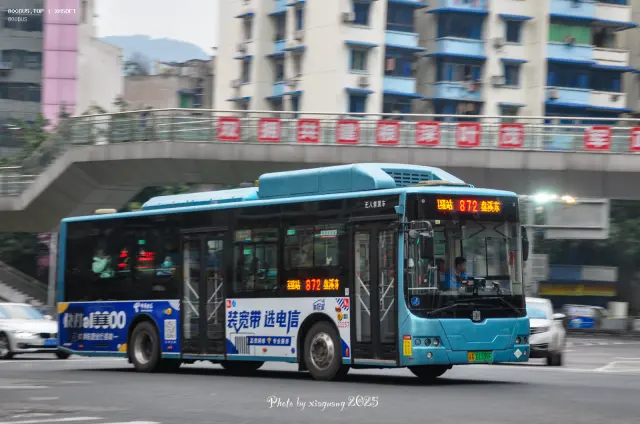 渝A 01559F