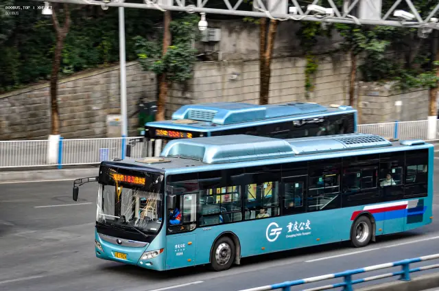 渝D77824
