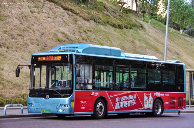 渝A 19235F