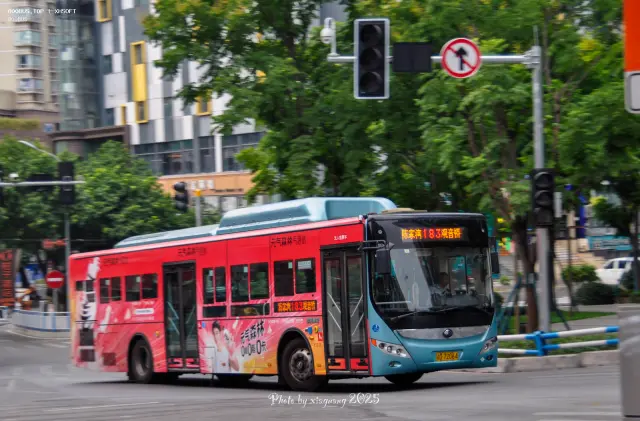 渝D72064