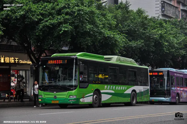 800BUS