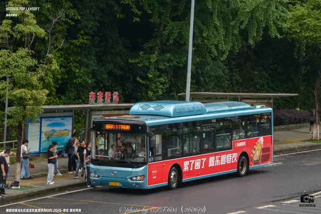 800BUS