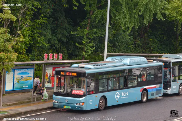 800BUS