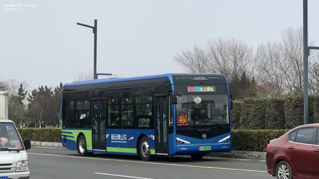 800BUS