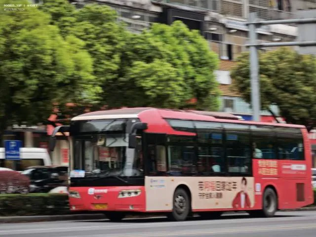 800BUS