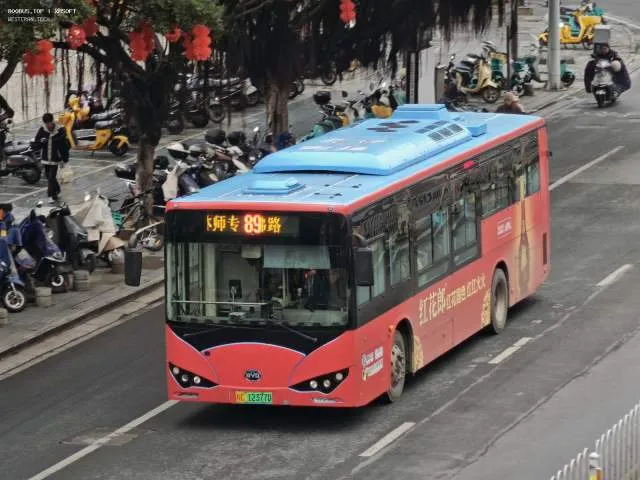 800BUS