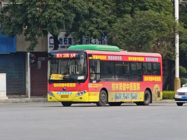 800BUS