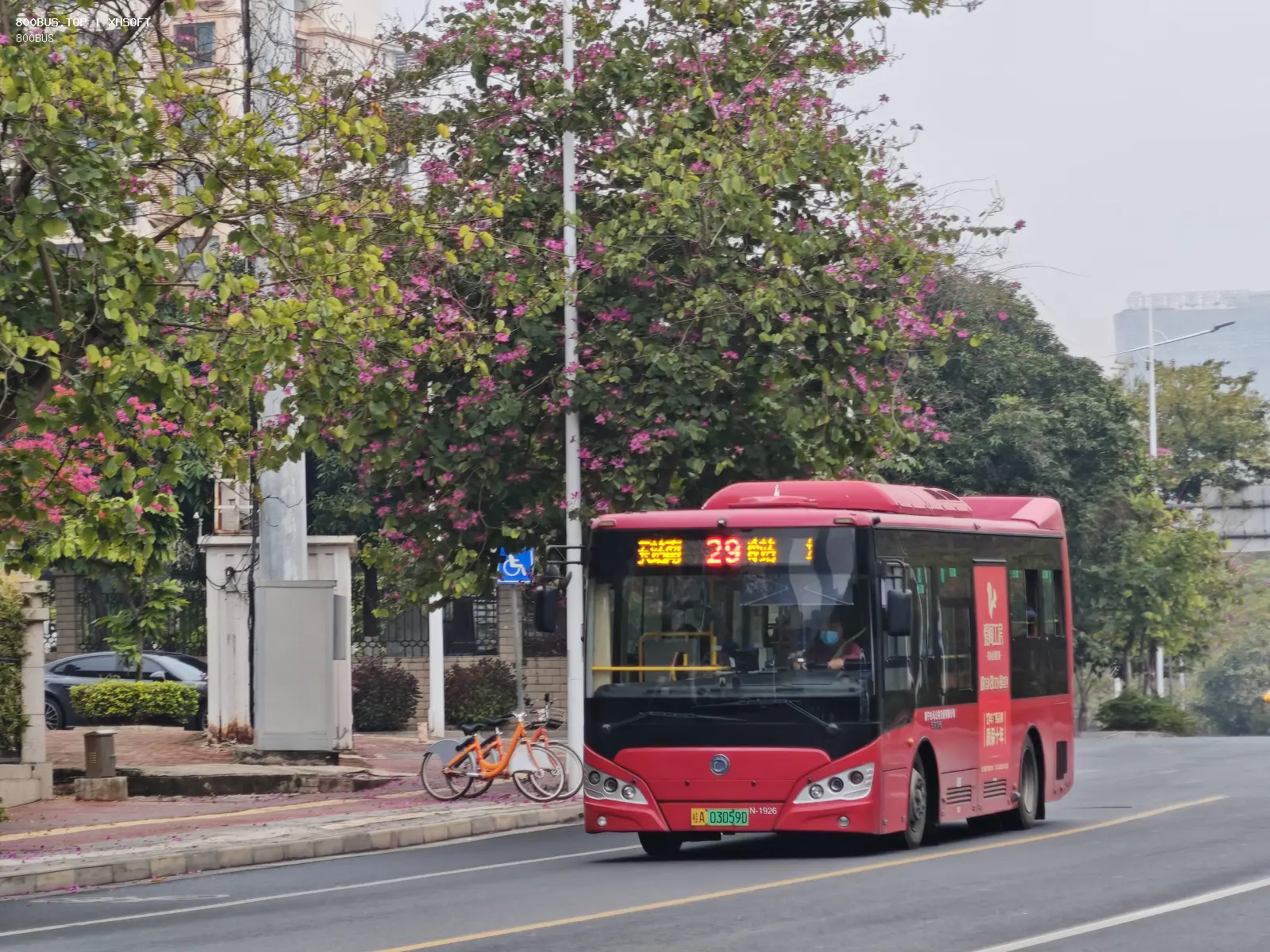 Bus Archive