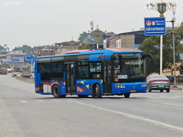 800BUS