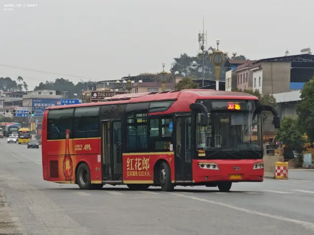 800BUS