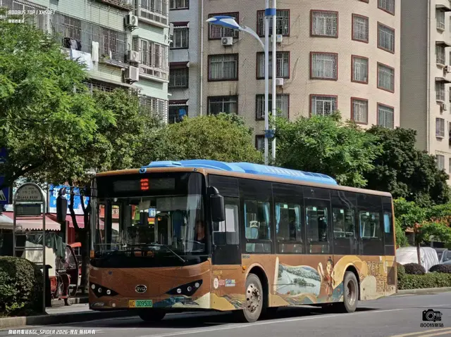 800BUS
