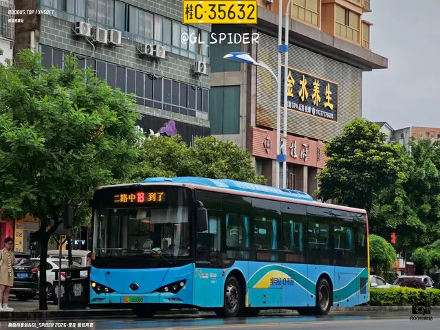 800BUS