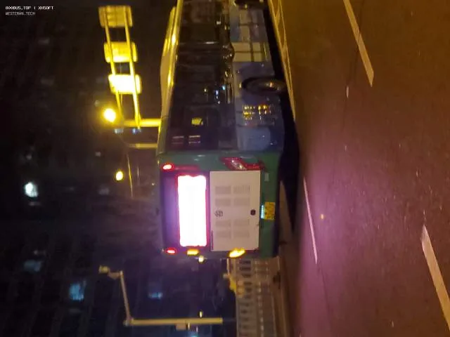 800BUS