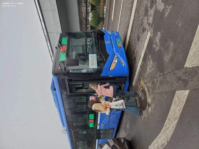 800BUS