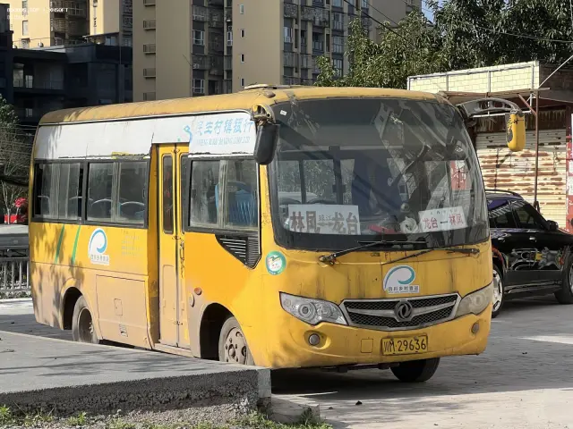 800BUS
