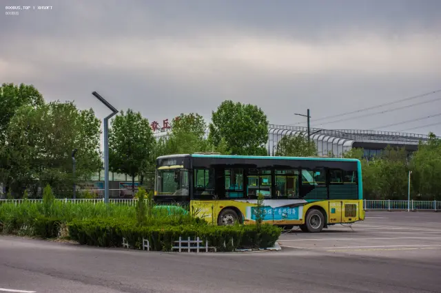 800BUS