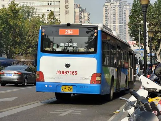 渝A 67165