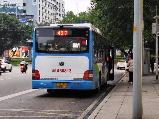 渝A 68813