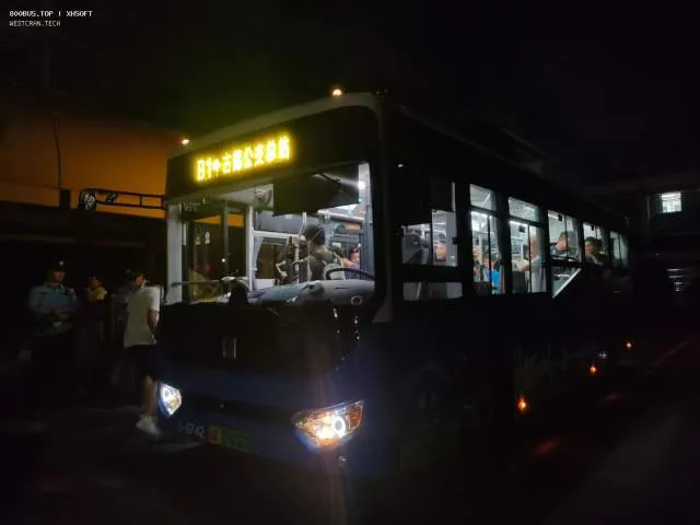 800BUS