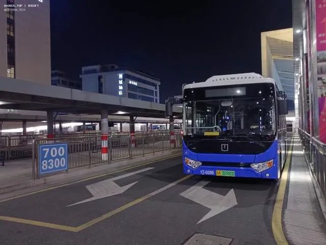 800BUS