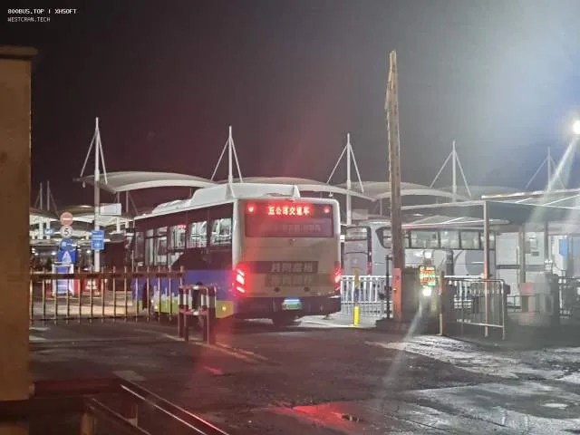 800BUS
