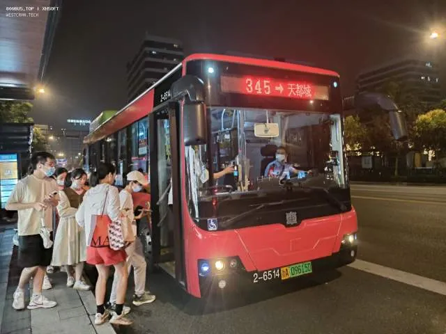 800BUS