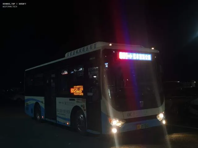 800BUS