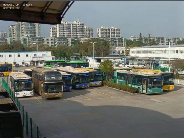 800BUS