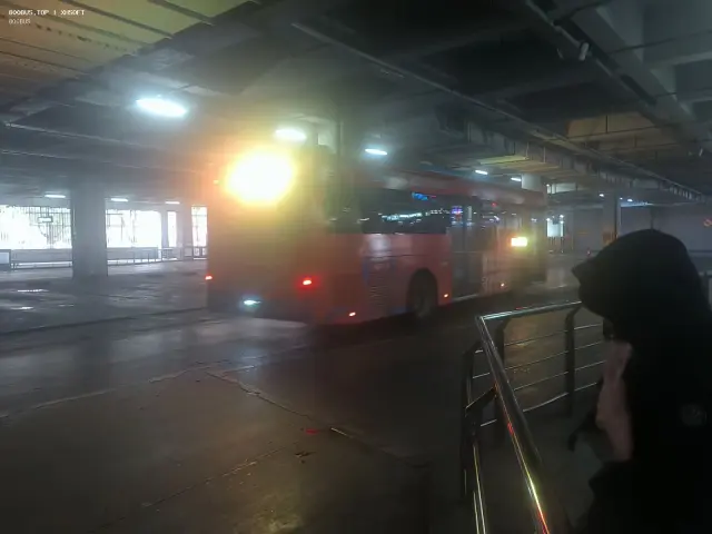 800BUS
